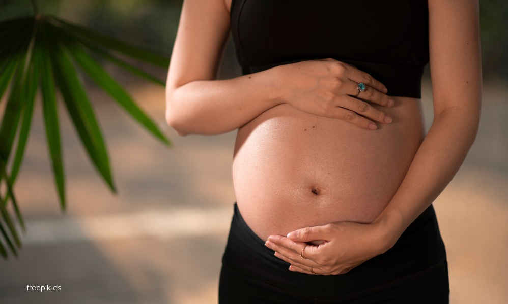 La maternidad - Los cuerpos de las mujeres como negocio