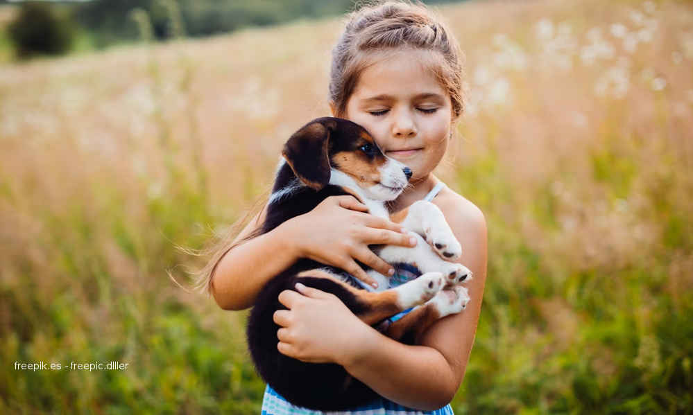 Animal de compañía - Cómo ayudar a un niño a superar su muerte