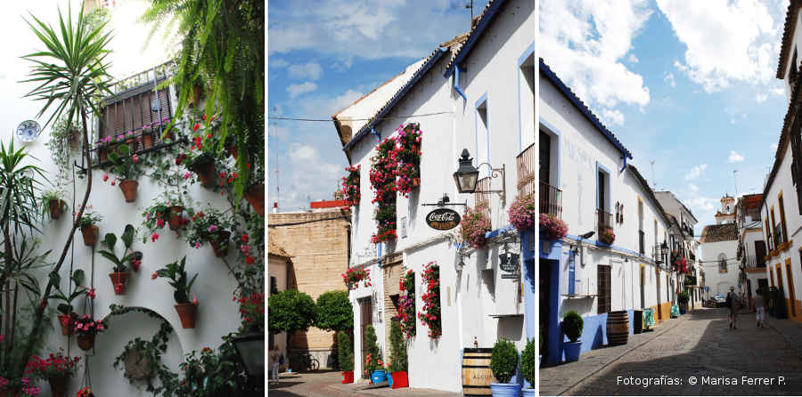 Los Patios Cordobeses en la ciudad de Córdoba - Diarios de viaje