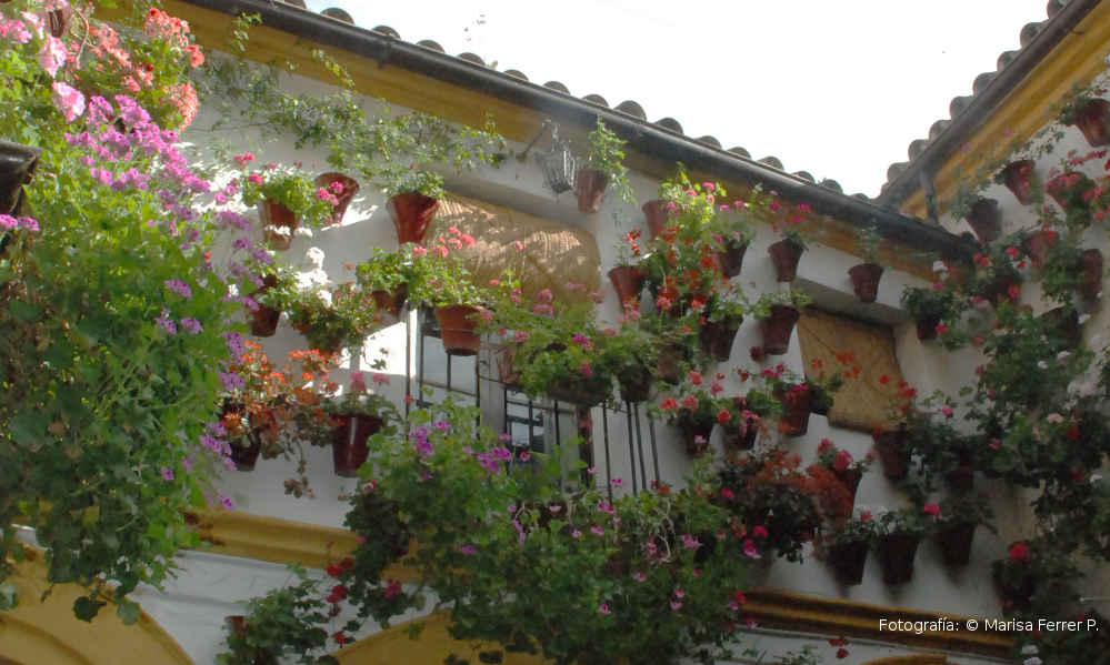 Los Patios Cordobeses en la ciudad de Córdoba - Diarios de viaje