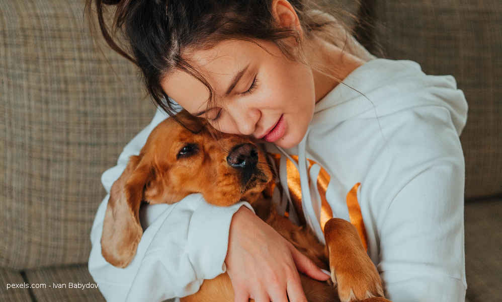 Mascotas - Beneficioso impacto emocional - Golpe de calor